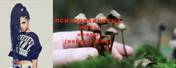 индика Осташков