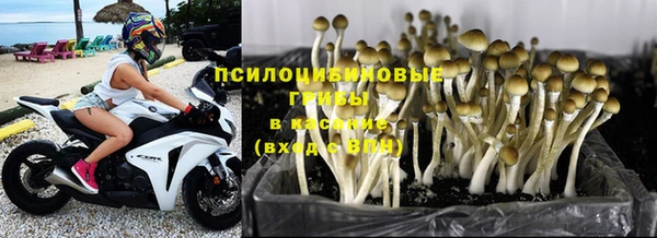 дживик Осинники
