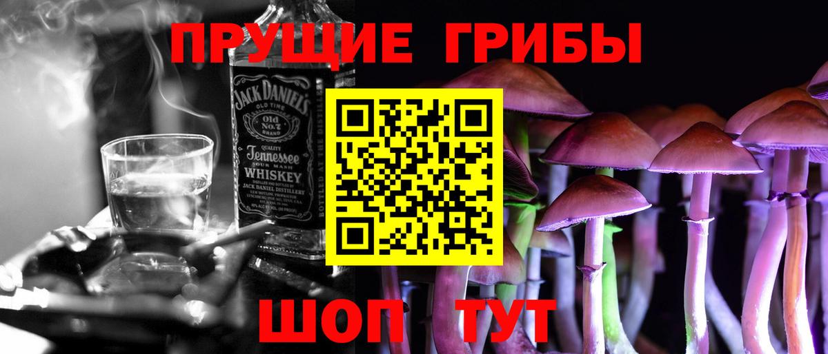 Псилоцибиновые грибы Cubensis  Вход с VPN  Лобня 